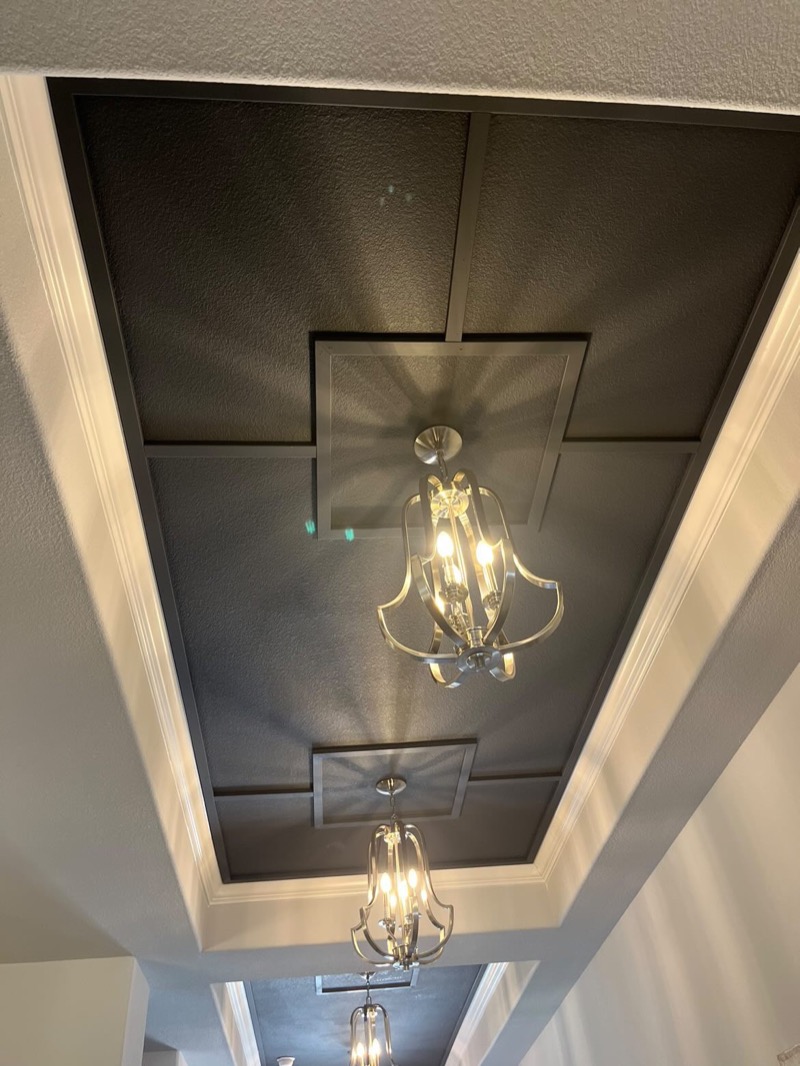 Accent Walls & Ceilings project by Lively Luxury Designs