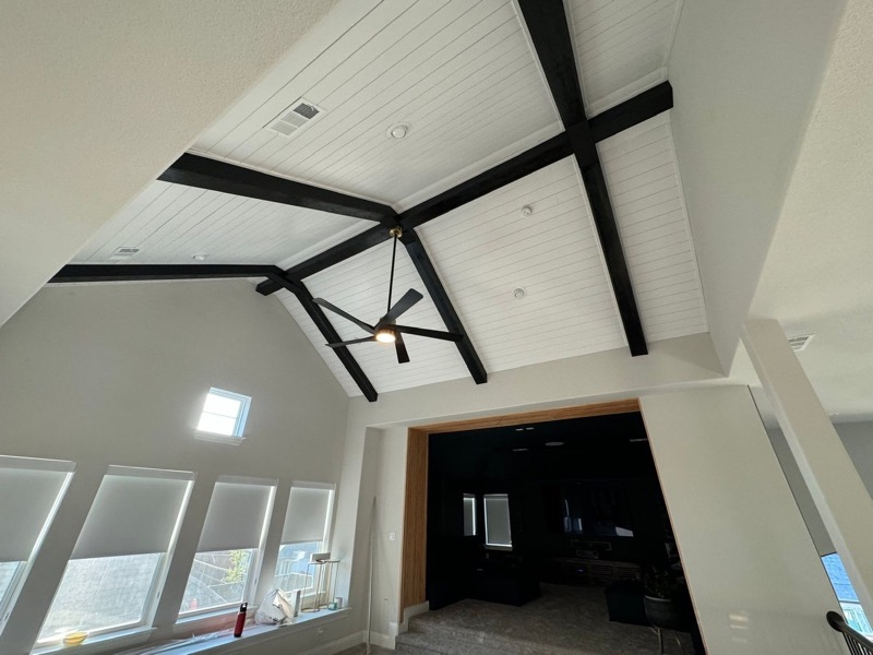 Accent Walls & Ceilings project by Lively Luxury Designs