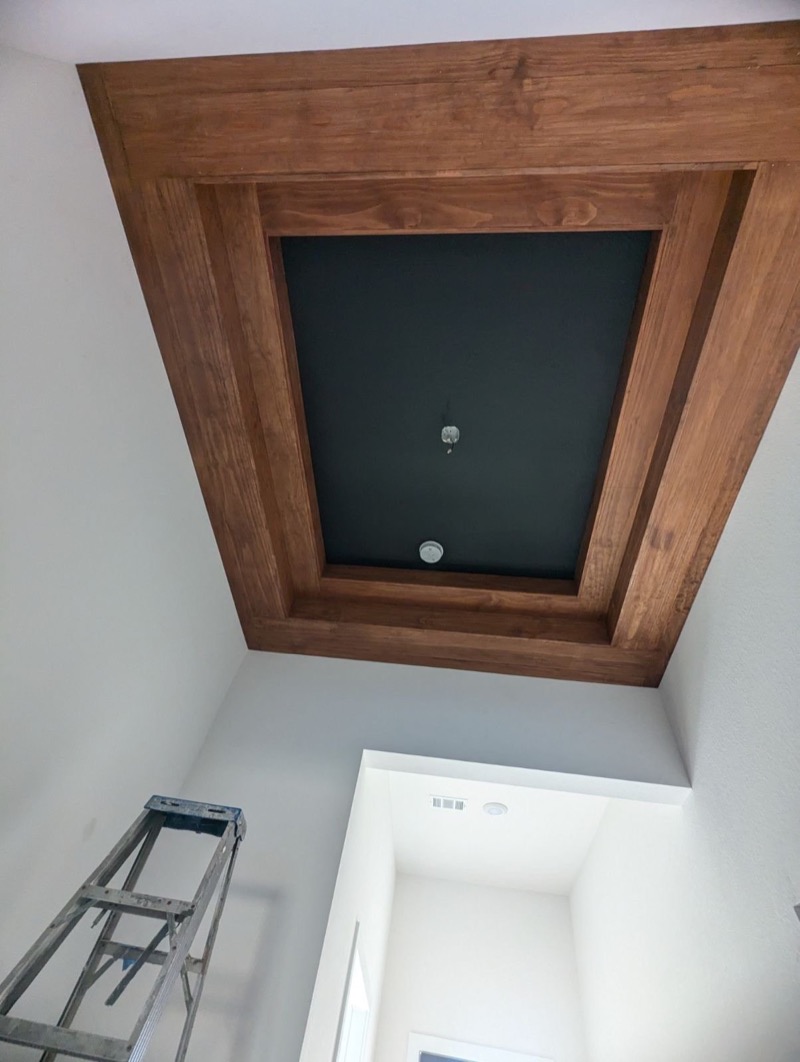 Accent Walls & Ceilings project by Lively Luxury Designs