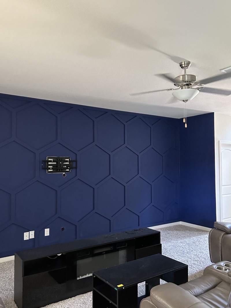 Accent Walls & Ceilings project by Lively Luxury Designs