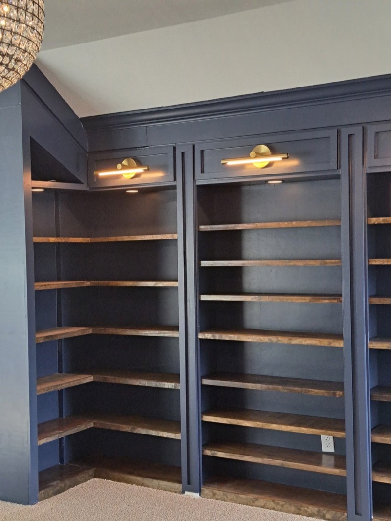 Custom Built-In's & Pre-Fabricated Cabinetry project by Lively Luxury Designs