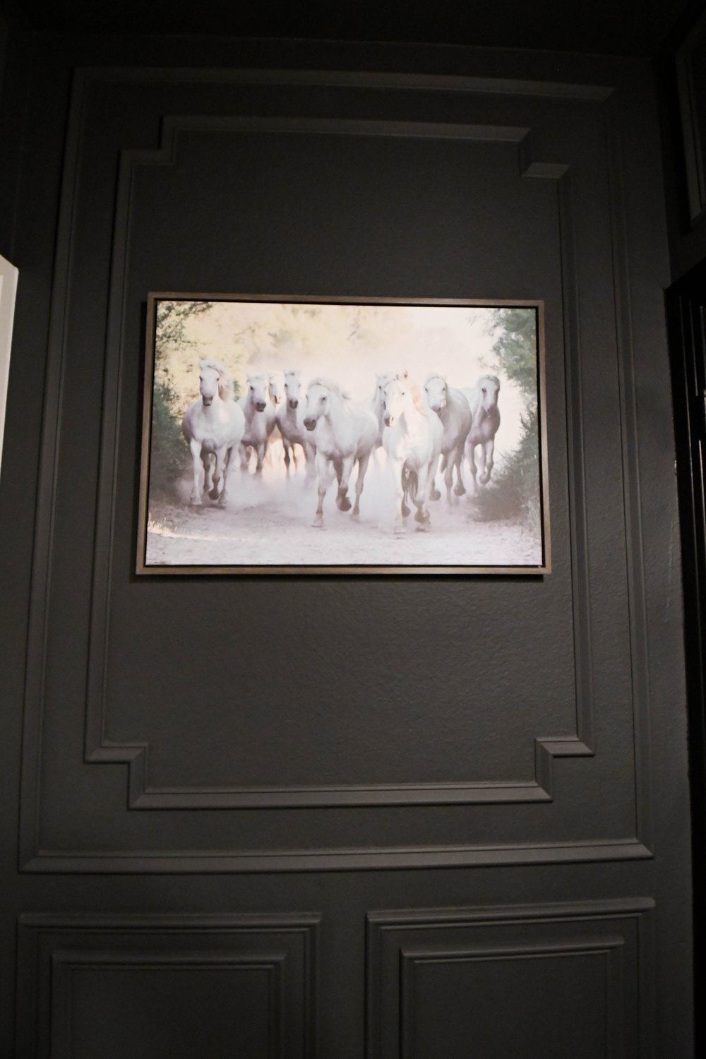 Framed photograph of running white horses on the panelled charcoal wall