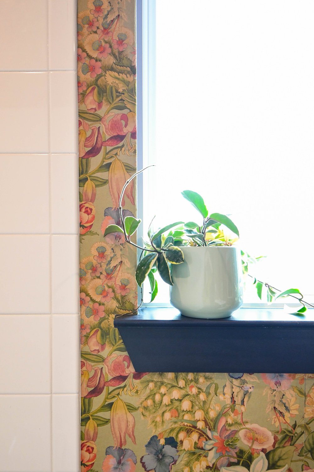 Potted plant on a navy window shelf against the floral wallpaper